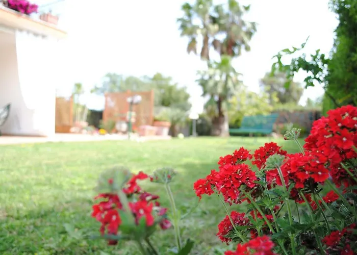 Regina Bed and Breakfast 4*